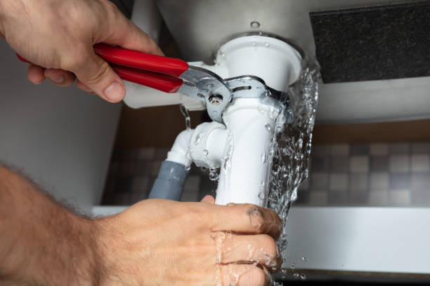 Best Mold removal after water damage  in St Charles, IL