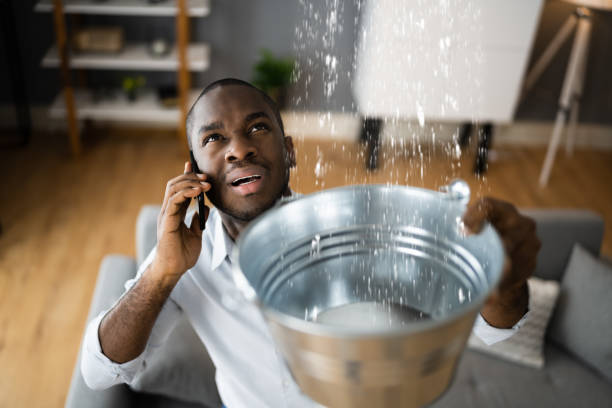 Best Water damage restoration specialists  in St Charles, IL