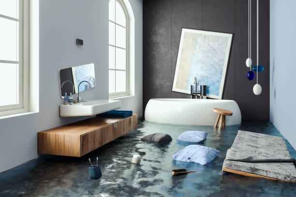 Best Professional water damage repair  in St Charles, IL