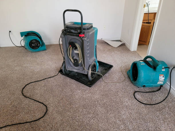 Best 24-hour water damage restoration  in St Charles, IL