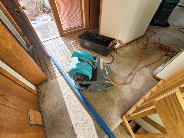 Professional Water damage restoration in St Charles, IL