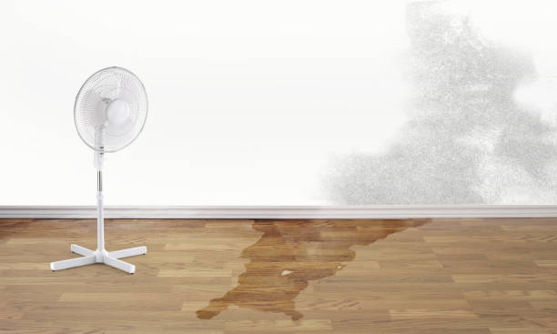 Sewage cleanup and water damage restoration in St Charles, IL