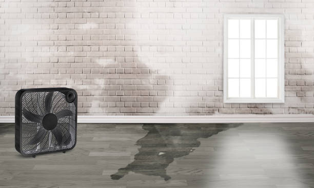 Best Sewage cleanup and water damage restoration  in St Charles, IL