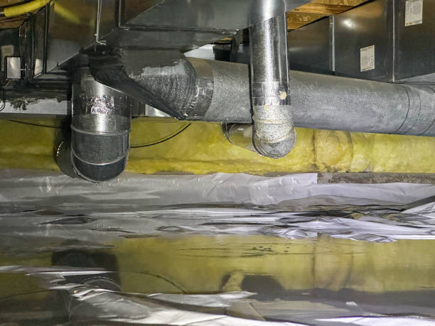 Best Water damage contractors near me  in St Charles, IL