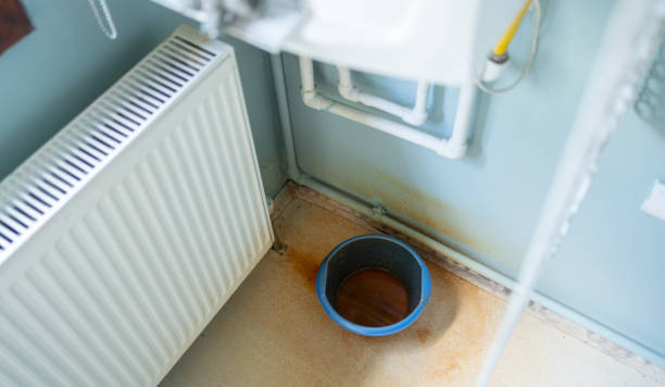 Best Basement water damage restoration  in St Charles, IL