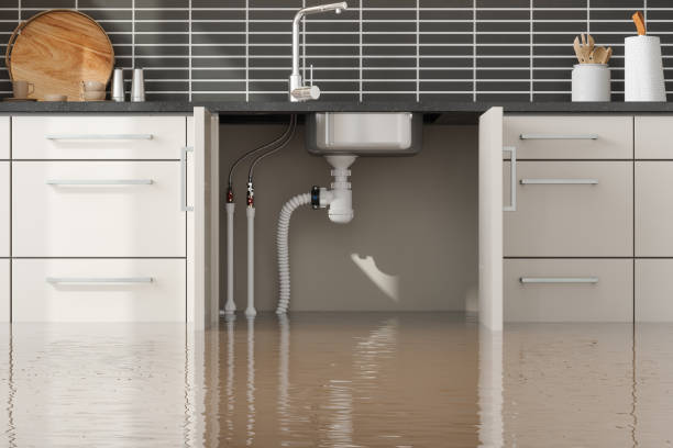 Best Water damage restoration mold remediation  in St Charles, IL