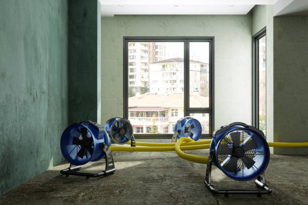 Best Residential water damage restoration  in St Charles, IL